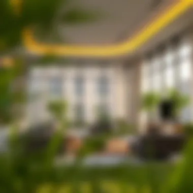 Magnificent An In-Depth Exploration of Renting in Nakheel Discovery Gardens