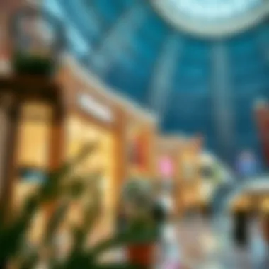 Magnificent Exploring Dubai Mall Stores: A Comprehensive Guide