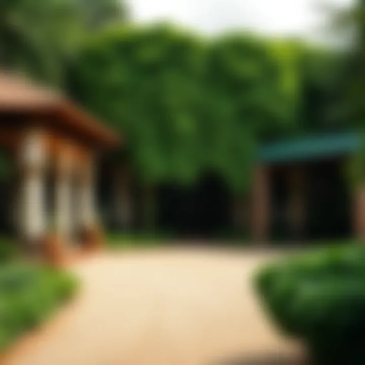 Magnificent Exploring Ivy Gardens in Samana: A Comprehensive Guide