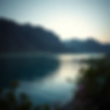 Magnificent Exploring Mubazzarah Lake: A Comprehensive Overview