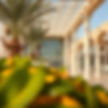 Magnificent Exploring Roxy Al Khawaneej Walk: A Nexus of Leisure and Lifestyle Magnificent Exploring Roxy Al Khawaneej Walk: A Nexus of Leisure and Lifestyle