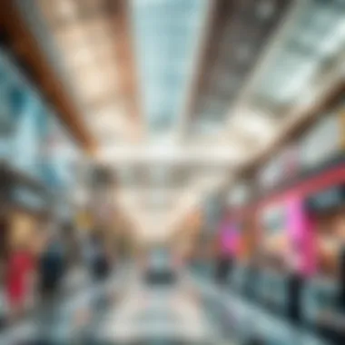 Magnificent Exploring the Mega Mall: A Comprehensive Insight into Dubai's Retail Landscape