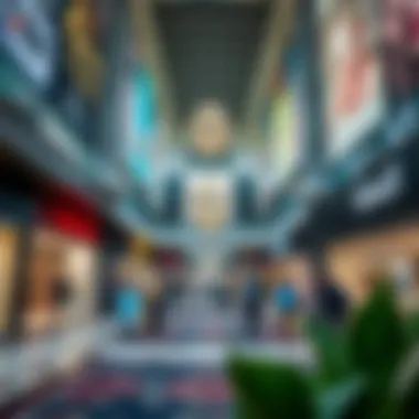 Magnificent Understanding the Decline of Malls in Dubai's Real Estate Landscape Magnificent Understanding the Decline of Malls in Dubai's Real Estate Landscape