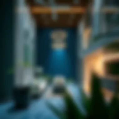 Magnificent Yalla Renovation: Transforming Spaces in Dubai Magnificent Yalla Renovation: Transforming Spaces in Dubai