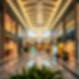 A Comprehensive Exploration of Damac Hills Mall Introduction