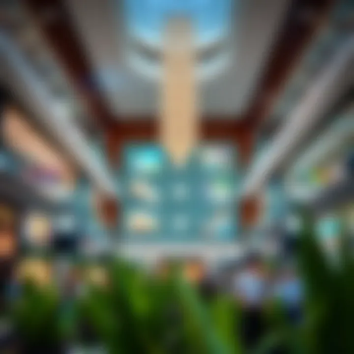 Notable A Comprehensive Exploration of Damac Hills Mall
