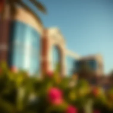 A Comprehensive Guide to the Top Schools in Dubai Summary