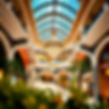 An In-Depth Exploration of Al Dhafra Mall Summary An In-Depth Exploration of Al Dhafra Mall Summary