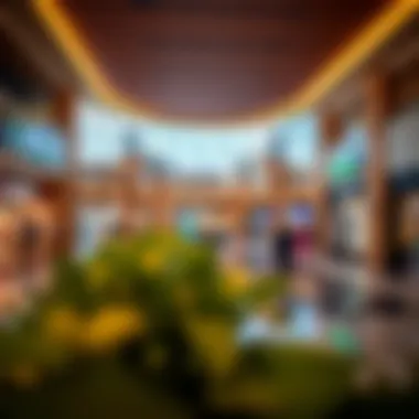 An In-Depth Look at Bin Shabib Mall, Qusais Summary An In-Depth Look at Bin Shabib Mall, Qusais Summary