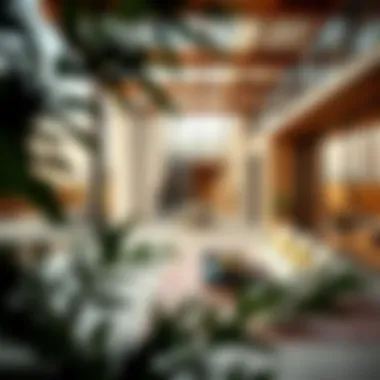 Notable Exploring Acacia in Dubai Hills: A Comprehensive Analysis Notable Exploring Acacia in Dubai Hills: A Comprehensive Analysis