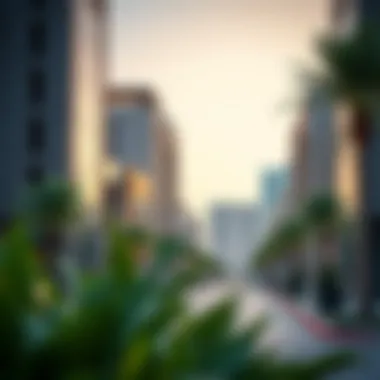 Investment Opportunities in Al Jada Stylish commercial area in Al Jada highlighting investment opportunities