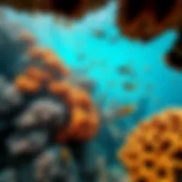 Vibrant coral reef teeming with marine life
