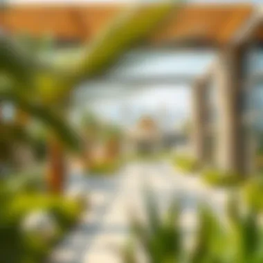 Notable Exploring Emaar Oasis: A Comprehensive Overview Notable Exploring Emaar Oasis: A Comprehensive Overview