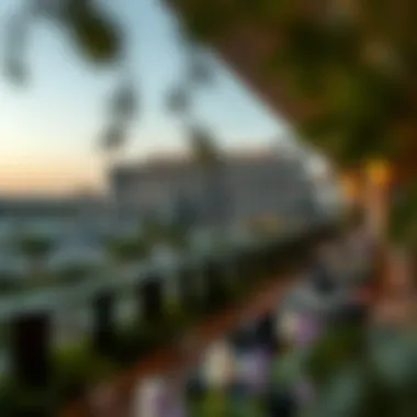 Exploring Emaar Oasis: A Comprehensive Overview Summary Exploring Emaar Oasis: A Comprehensive Overview Summary