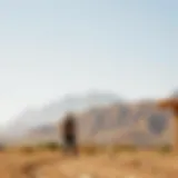 Exploring Hatta: Activities for the Discerning Traveler Introduction