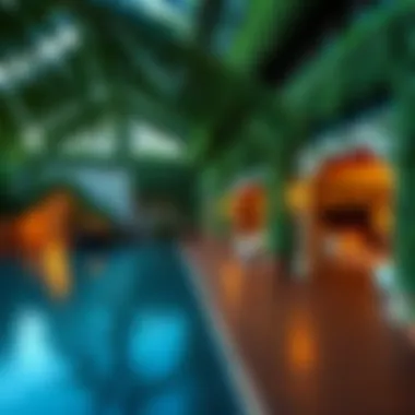 Notable Exploring Ivy Gardens in Samana: A Comprehensive Guide Notable Exploring Ivy Gardens in Samana: A Comprehensive Guide