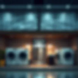 Exploring Laundry Services in Damac Hills 2: A Comprehensive Guide Introduction