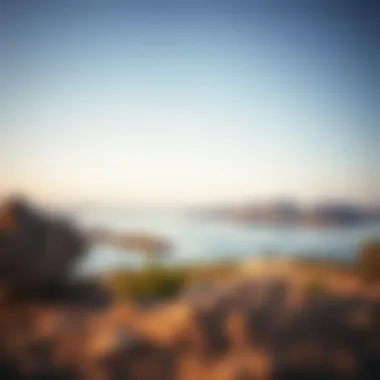 Exploring Mubazzarah Lake: A Comprehensive Overview Summary