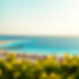 Panoramic view of La Mer beach showcasing the azure waters and vibrant atmosphere