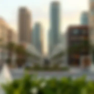 Exploring the Complexities of Dubai as an International City Summary Exploring the Complexities of Dubai as an International City Summary