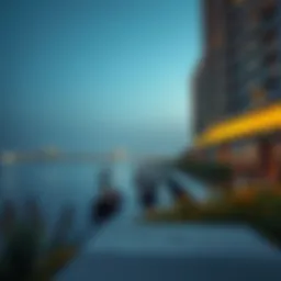 Exploring the Significance of Danube in the UAE Real Estate Landscape Introduction