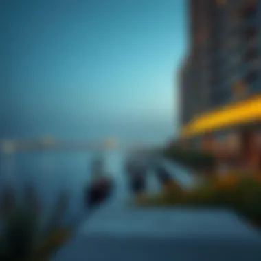 Exploring the Significance of Danube in the UAE Real Estate Landscape Introduction