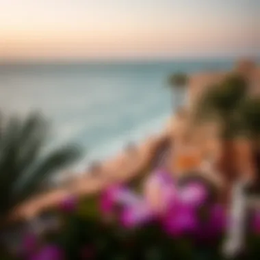 Notable Exploring Umm Suqeim: A Comprehensive Guide to Dubai's Coastal Gem