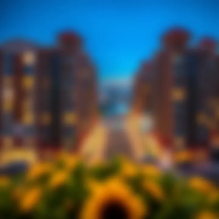 Notable Rental Opportunities in Bur Dubai: Insights into Studio Properties