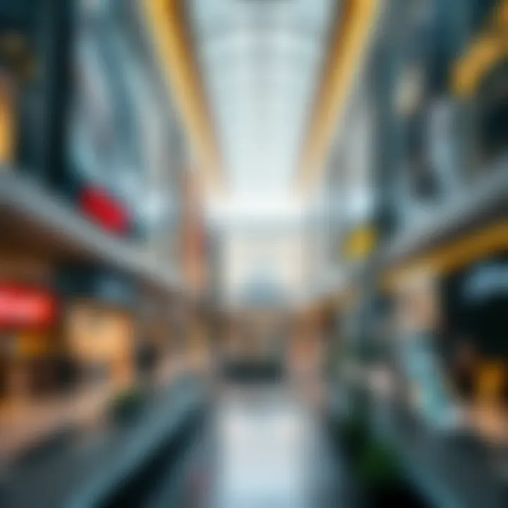 Silicon Central Mall: A Hub of Modern Commercial Activity in Dubai Summary